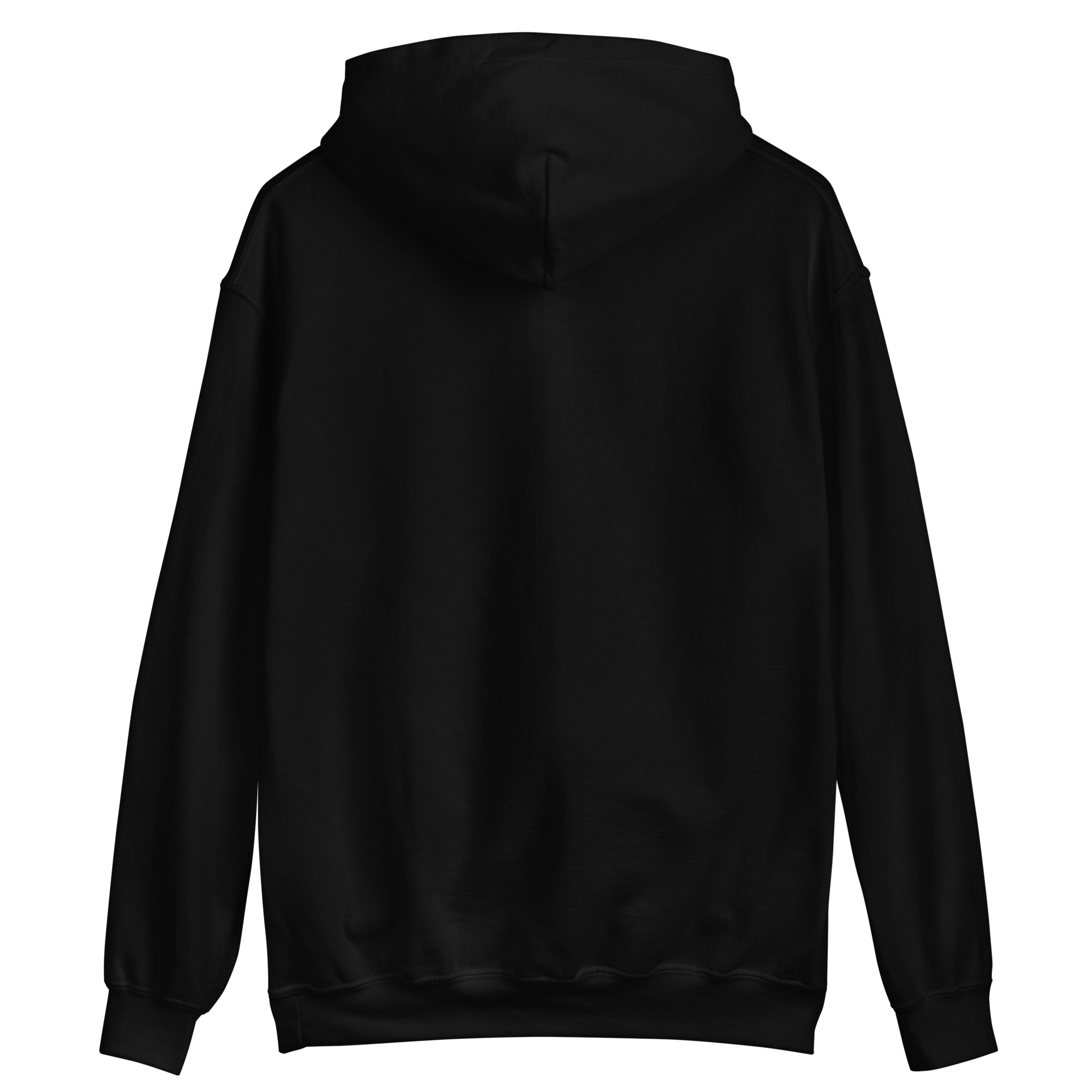 unisex-heavy-blend-hoodie-black-back-64b9a23e2b847.jpg