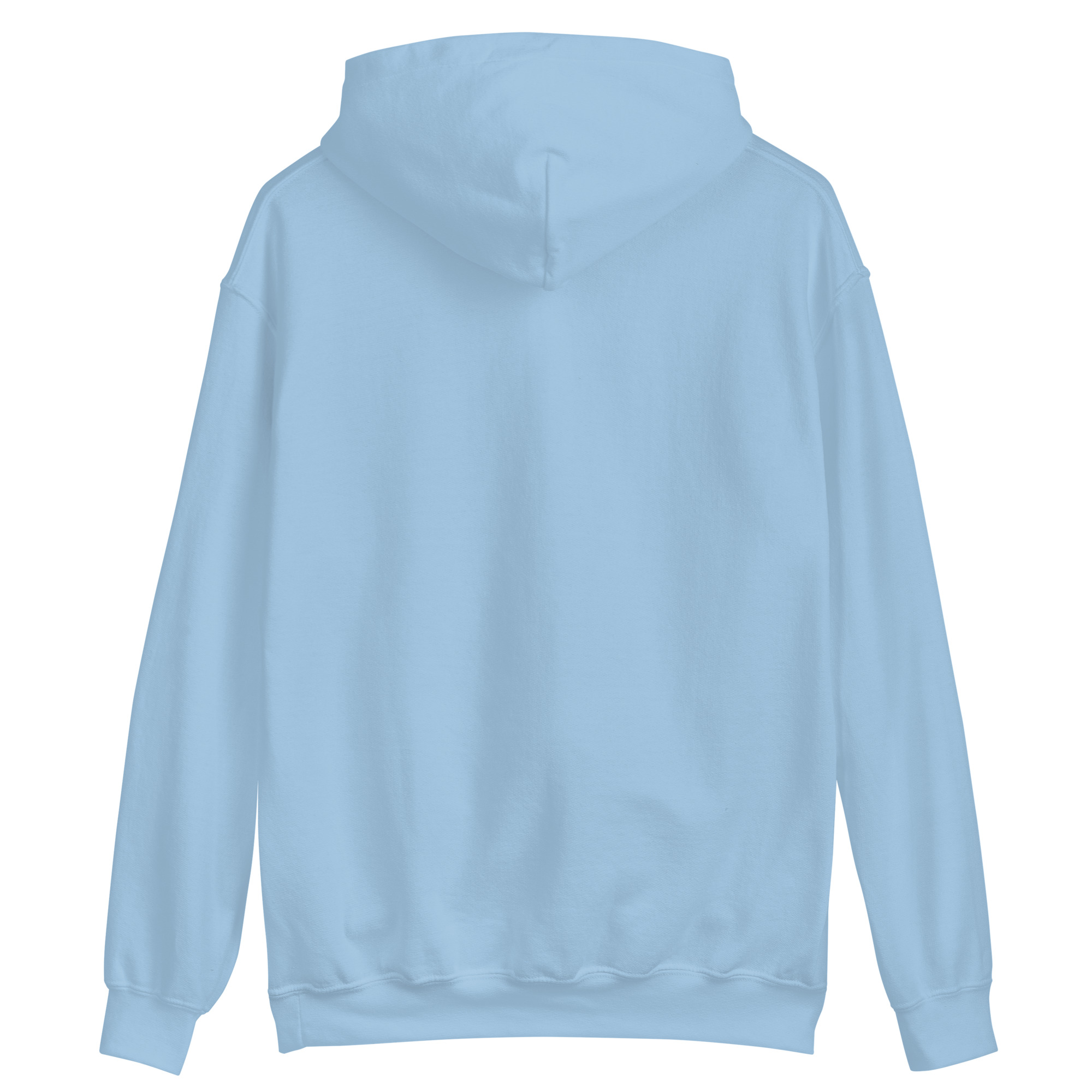unisex-heavy-blend-hoodie-light-blue-back-64b9a23e30b6d.jpg